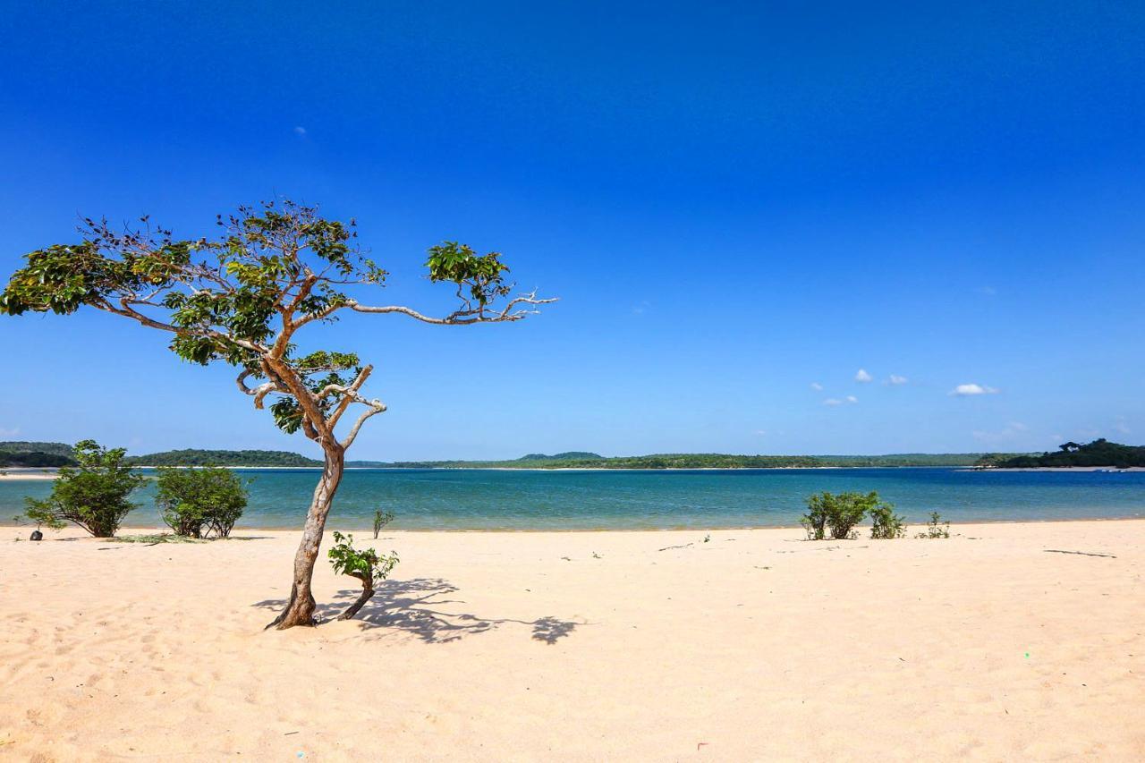 Casa Da Arvore, Sonho Na Amazonia, 2Min A Pe Da Praia Alter do Chao Exterior photo